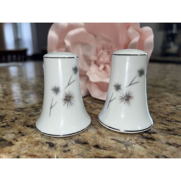Creative Salt & Pepper Shaker Platinum Star Burst Fine China Japan 1014 Atomic - Picture 1 of 9